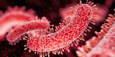 Erfolg im Labor: US-Forscher lassen KI neue Viren erschaffen