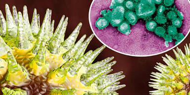 Forscher z&uuml;chten Killer-Virus