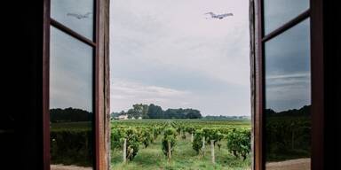 Wie wird der Geschmackssinn bei Flugreisen beeinflusst?