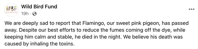 wildbirdfund/ Facebook