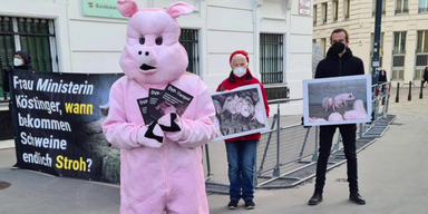 Vollspaltenb&ouml;den (2).png