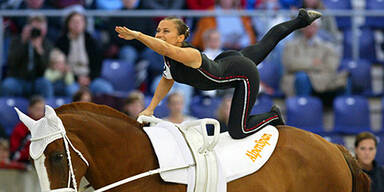 Voltigieren Sissi Jarz