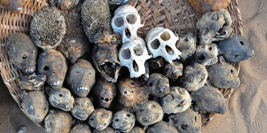 Nigerianer zwangen Frauen durch Voodoo zur Prostitution