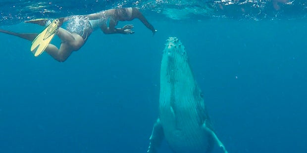 Nadine Friedrich Wale