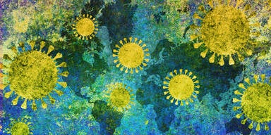 Salzburg verh&auml;ngt Ausreisetestpflicht f&uuml;r die Stadt Hallein