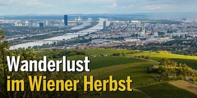 Wanderlust im Wiener Herbst