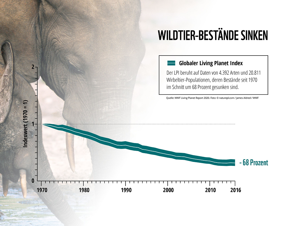 Unsere Tiere - Tierschutz-CH - WWF Living Planet Report 2020 Chart - 960xpx