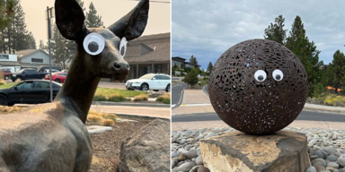 Scherzbold terrorisiert Gemeinde mit Wackelaugen-Aktion