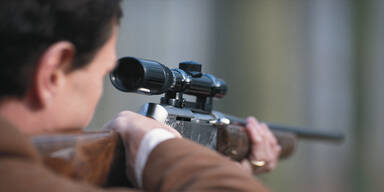 Waffen-Explosion: Neuer Rekord in &Ouml;sterreich