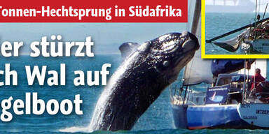 Wal stürzt sich auf Segelboot