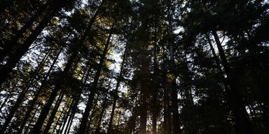 29-J&auml;hriger bel&auml;stigte zwei M&auml;dchen auf Heimweg