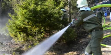In dieser Jahreszeit: Waldbrand in Tirol