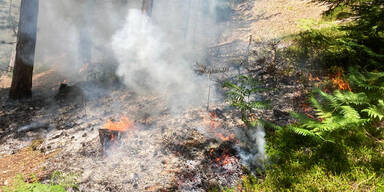 Brennende W&auml;lder in S&uuml;dfrankreich
