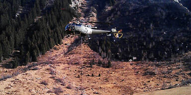 Schwieriger Kampf gegen Glutnester