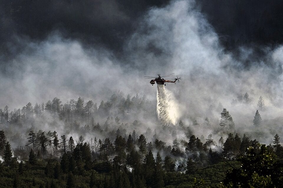 Waldbrand - Unser Tiere - Tierschutz-CH - Klimawandel, Naturkatastrophen - Konsole