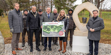 Wiener Neustadt ermöglicht ab sofort Baum­be­stat­tun­gen