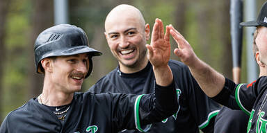 Vienna Wanderers Baseball