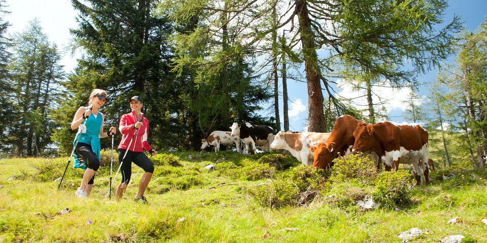 Eine fantastische Aussicht garantiert das Wandern auf der Postalm 