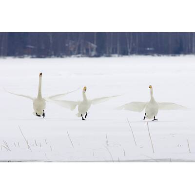 Müde sein und frieren geht gar nicht