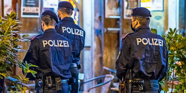 Was hinter der ''Polizei in Wohnung''-Panne steckte | Polit-Wirbel