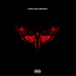 Lil Wayne stellt neues Album vor