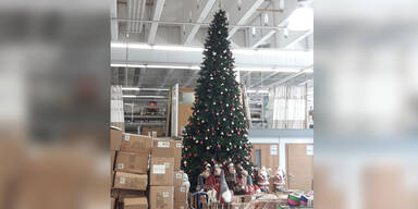 Weihnachtsbaum bei 30 Grad gesichtet