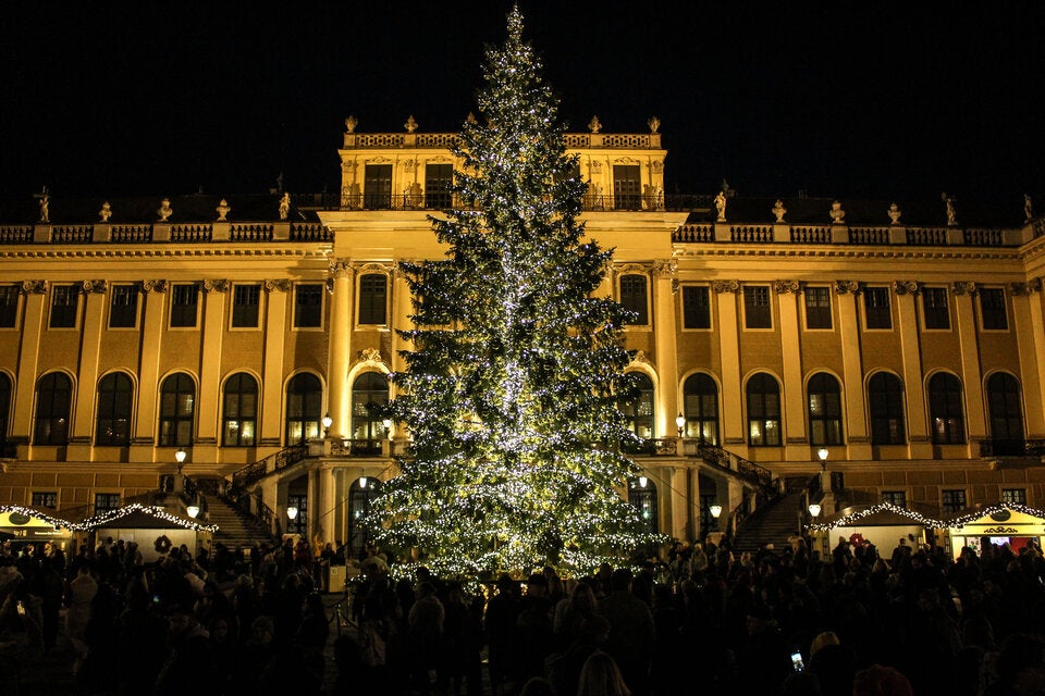 Ein Blickfang: Weihnachtsbaum vor Schloss Schönbrunn.