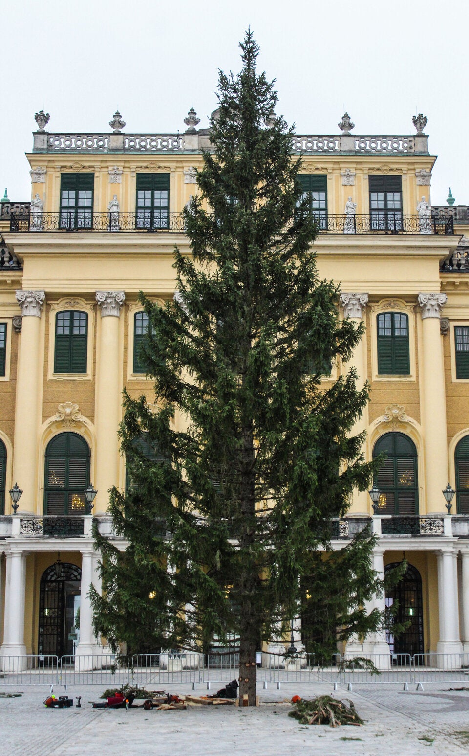 Christbaum in Schönbrunn