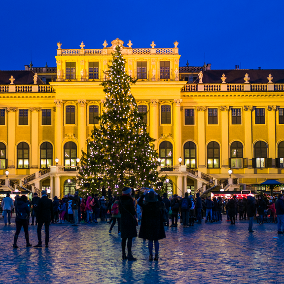 Weihnachtszauber in Wien: Großer Andrang im Schloss Schönbrunn