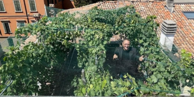 RossanaMazzierei/CNN