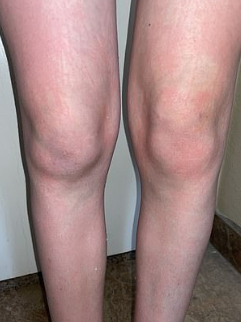 Kennedy News and Media