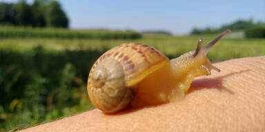 Die Top 5 Aktivit&auml;ten im Thermen- & Vulkanland