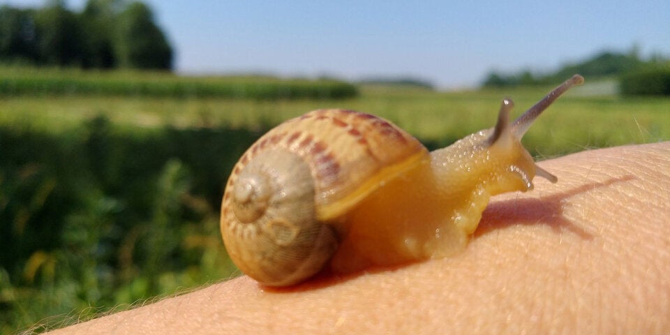 Die Top 5 Aktivitäten im Thermen- & Vulkanland