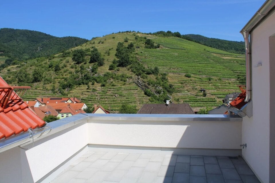 Traumaussicht auf Weingärten