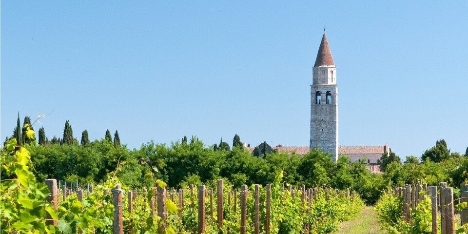 Weingarten mit Blick auf Aquileia