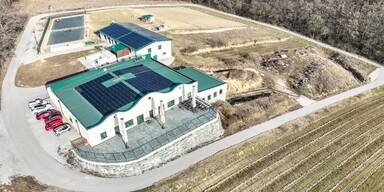 Weingut mit Buschenschank wird zum Schn&auml;ppchenpreis versteigert