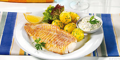 Weisheit des Essens im Forscherfokus