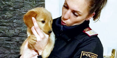 Cops retten f&uuml;nf Welpen