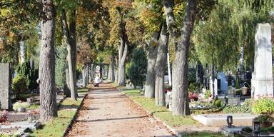 Wels Friedhof