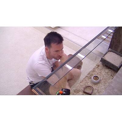 Promi Big Brother: Der elfte Tag