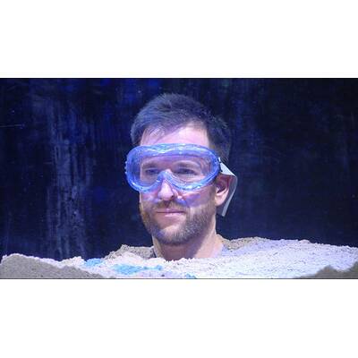 Promi Big Brother: Der elfte Tag