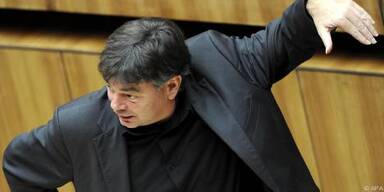 Werner Kogler sieht "sensationellen Durchbruch"