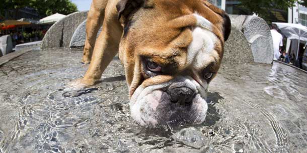 Super-Sommer: 37-Grad-Marke geknackt!