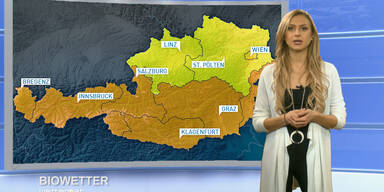 Das Biowetter