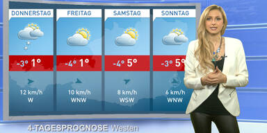 Die 4-Tagesprognose