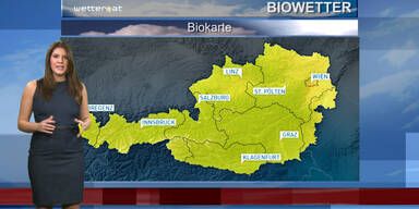 Das Biowetter