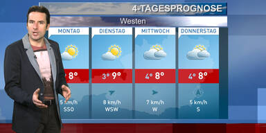 Die 4-Tagesprognose