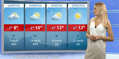 Die 4-Tagesprognose