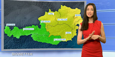 Wetter_TV_151229_0600h_Sendung.Standbild042.jpg