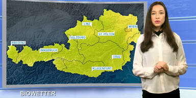 Wetter_TV_151229_bio0600h_Sendung.Standbild046.jpg